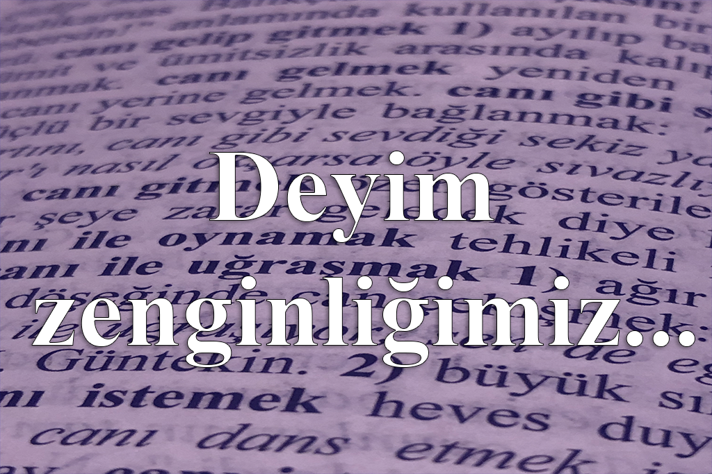Türkçe Deyim Zenginliği